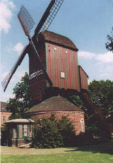 Die Narrenmühle