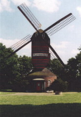 Die Narrenmühle